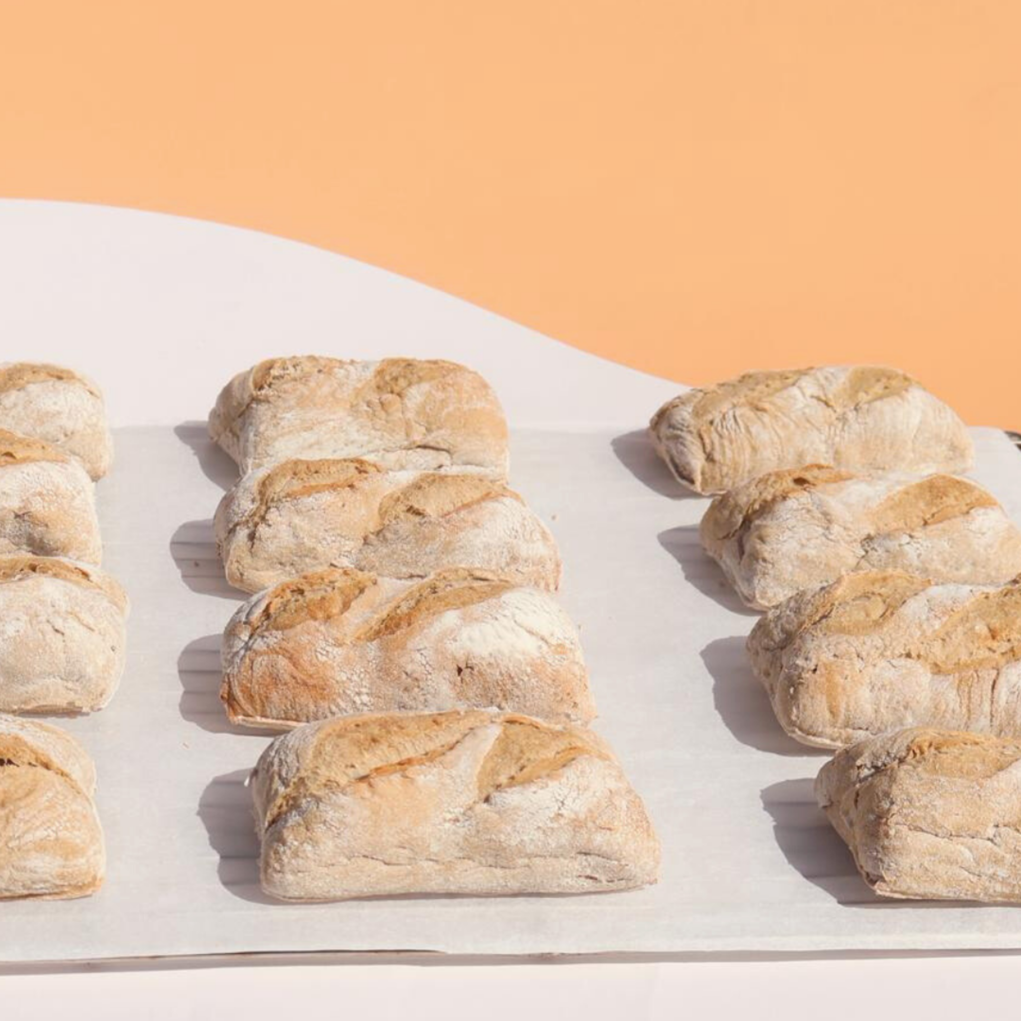 Ciabatta Blé dur